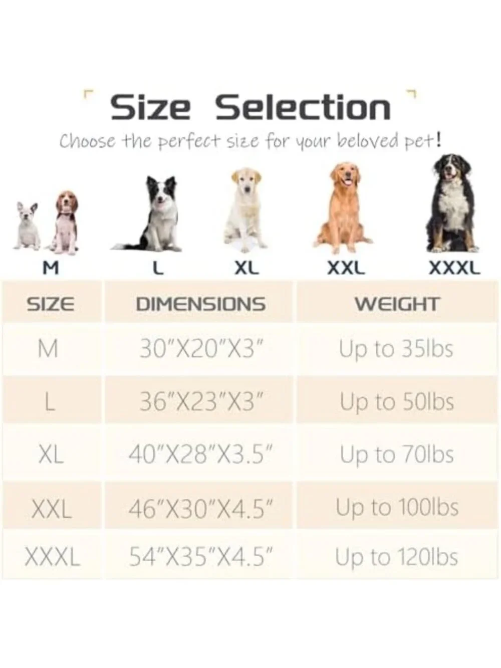Cozy Large Dog Bed with Pillow, Supportive Bolster, Non-Slip Bottom, Soft Pet